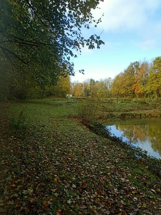 Deux étangs poissonneux au milieu des bois avec gîte moderne, la halte des deux lacs Rosée Extérieur photo