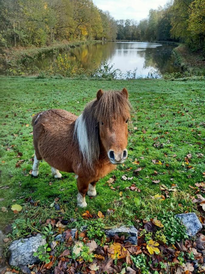 Deux étangs poissonneux au milieu des bois avec gîte moderne, la halte des deux lacs Rosée Extérieur photo