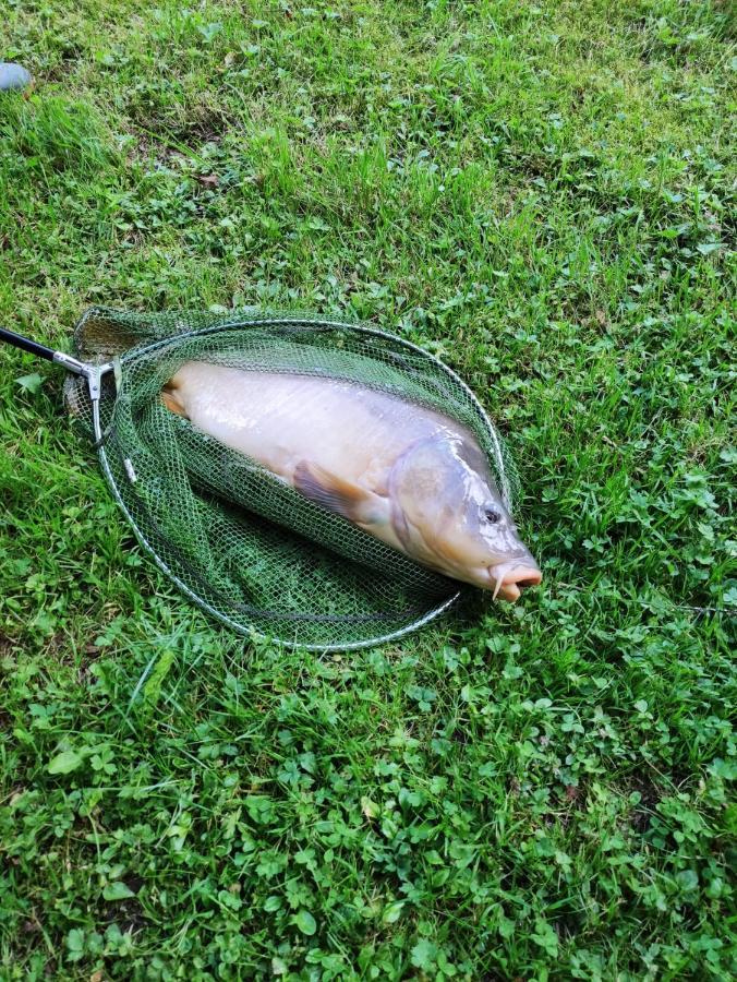 Deux étangs poissonneux au milieu des bois avec gîte moderne, la halte des deux lacs Rosée Extérieur photo