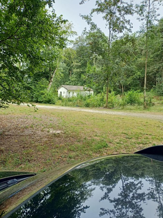 Deux étangs poissonneux au milieu des bois avec gîte moderne, la halte des deux lacs Rosée Extérieur photo