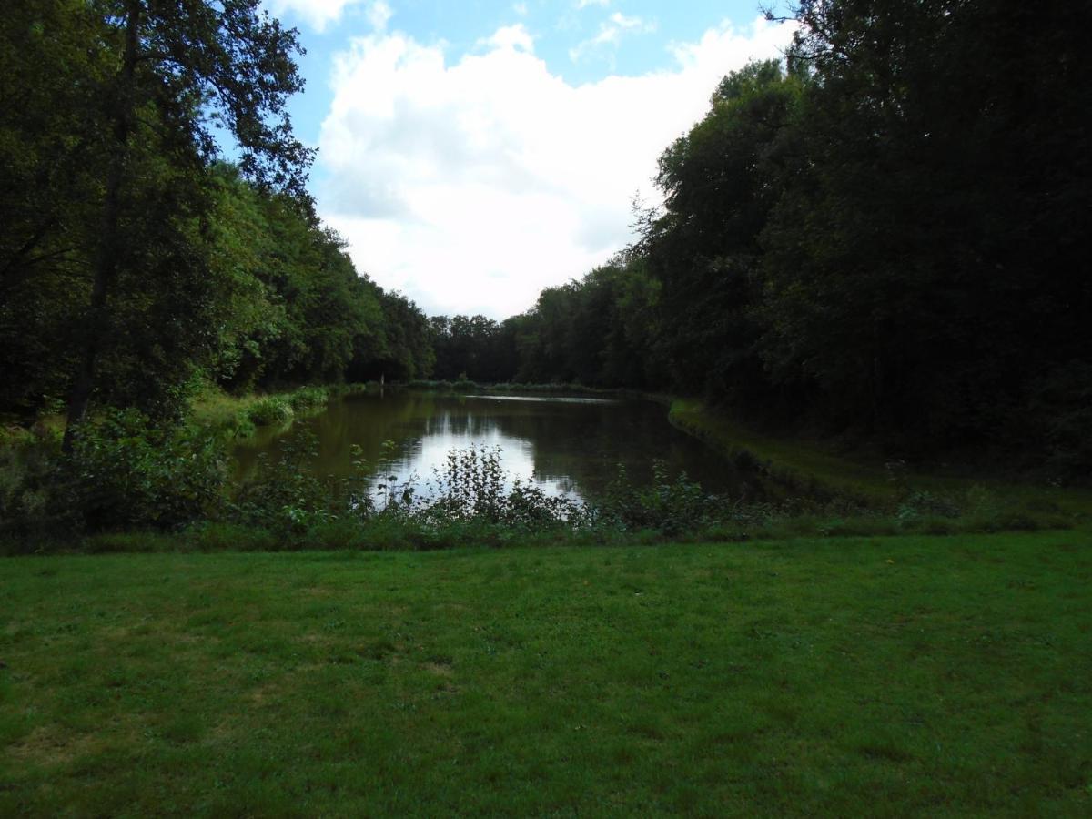 Deux étangs poissonneux au milieu des bois avec gîte moderne, la halte des deux lacs Rosée Extérieur photo