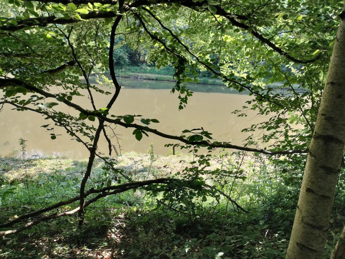 Deux étangs poissonneux au milieu des bois avec gîte moderne, la halte des deux lacs Rosée Extérieur photo