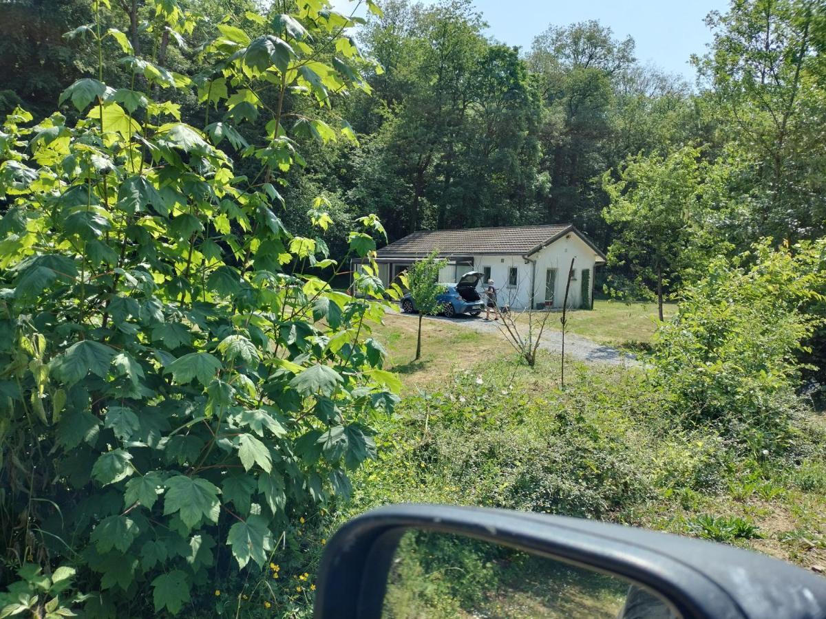 Deux étangs poissonneux au milieu des bois avec gîte moderne, la halte des deux lacs Rosée Extérieur photo