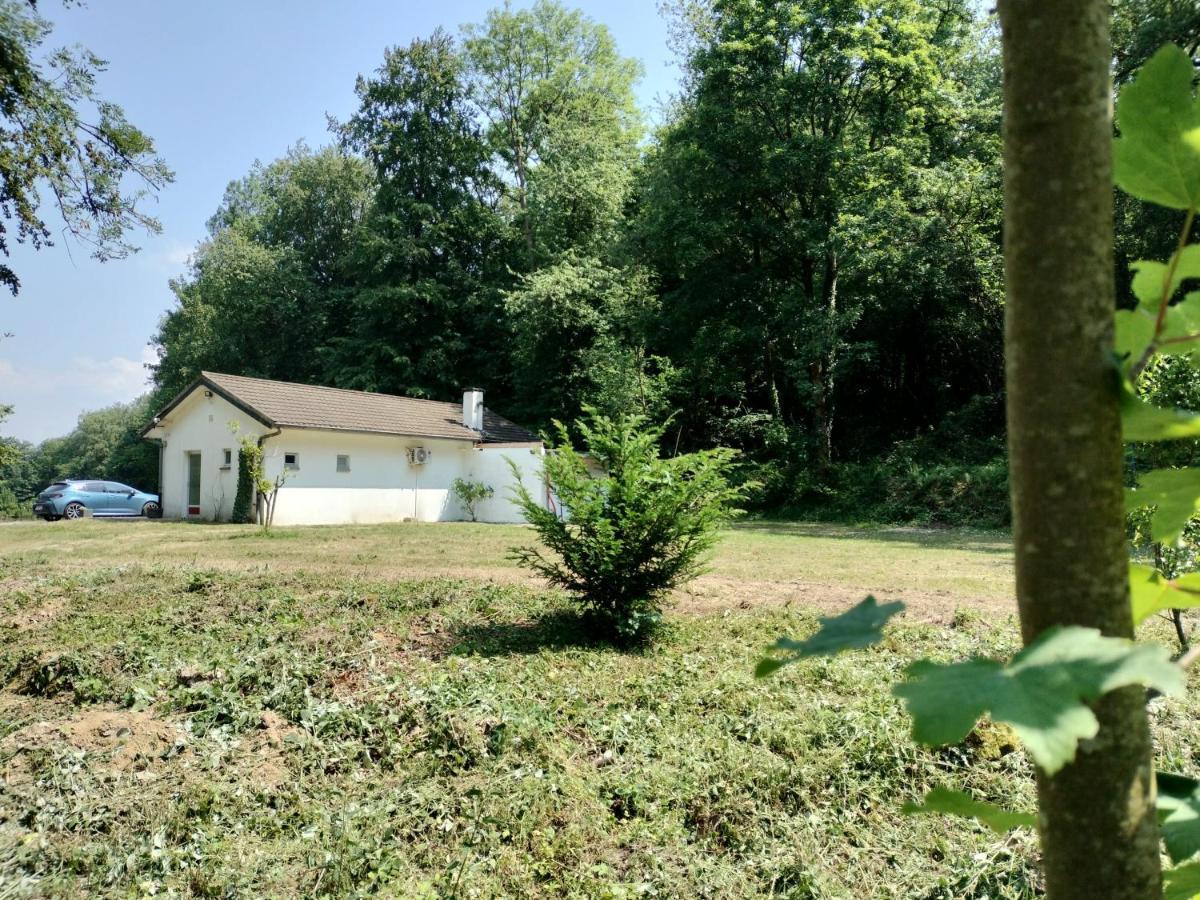 Deux étangs poissonneux au milieu des bois avec gîte moderne, la halte des deux lacs Rosée Extérieur photo