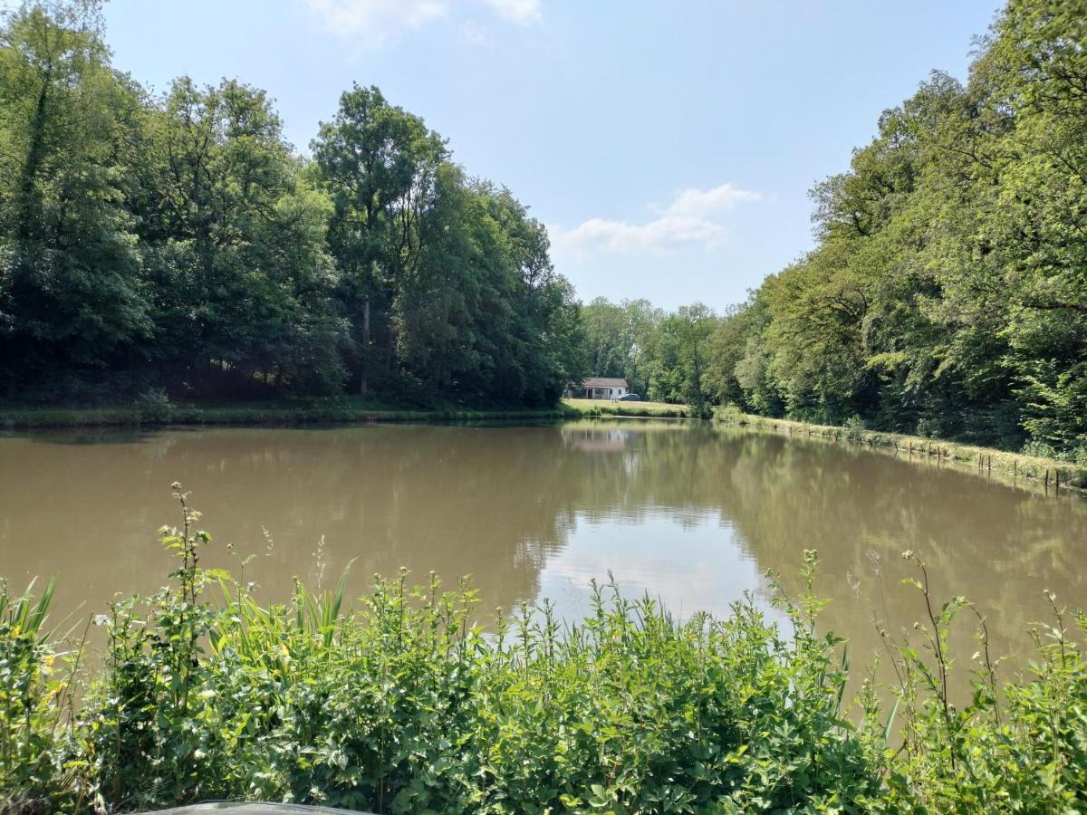 Deux étangs poissonneux au milieu des bois avec gîte moderne, la halte des deux lacs Rosée Extérieur photo
