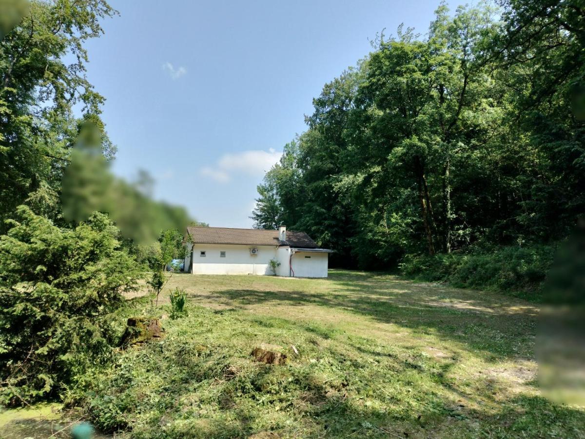 Deux étangs poissonneux au milieu des bois avec gîte moderne, la halte des deux lacs Rosée Extérieur photo