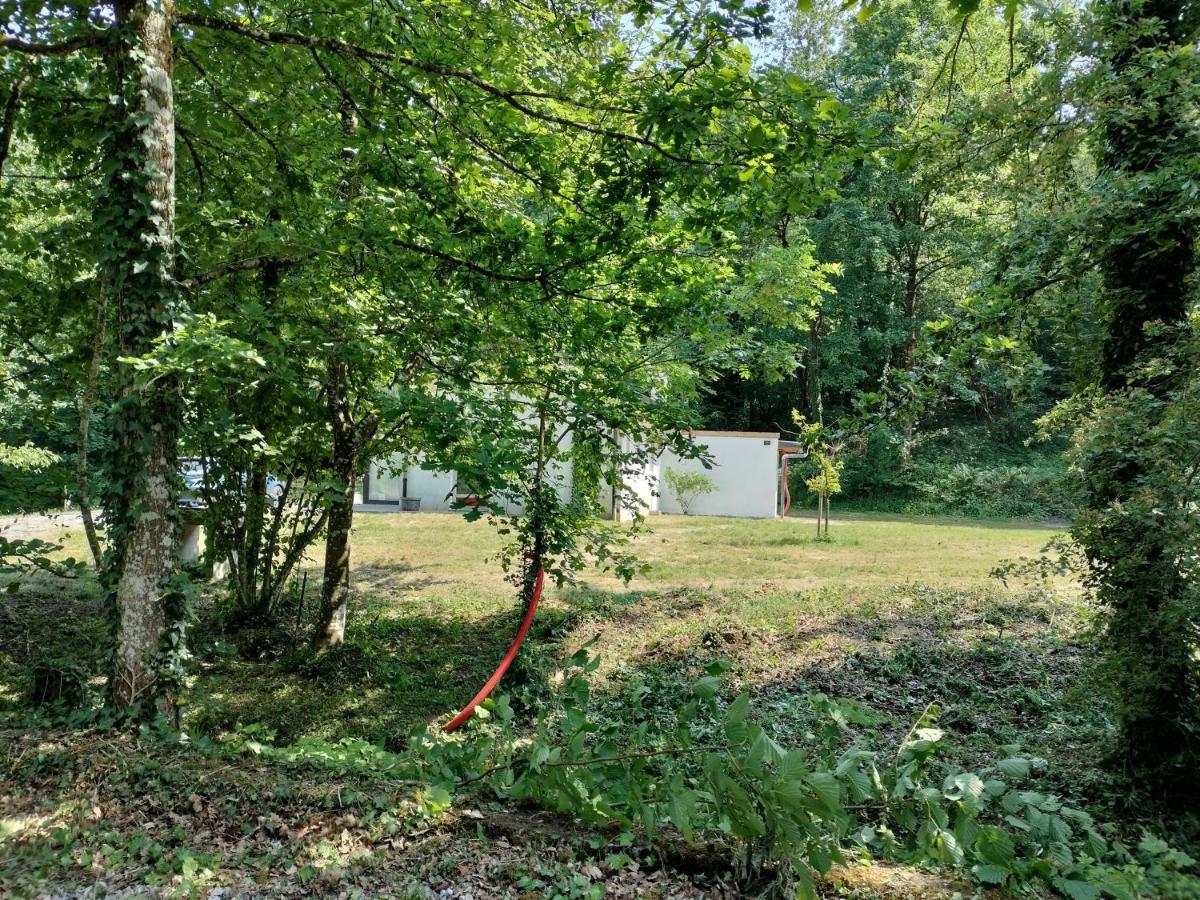 Deux étangs poissonneux au milieu des bois avec gîte moderne, la halte des deux lacs Rosée Extérieur photo