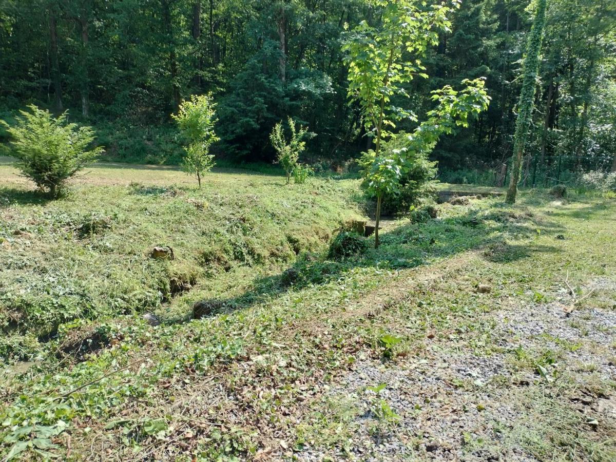 Deux étangs poissonneux au milieu des bois avec gîte moderne, la halte des deux lacs Rosée Extérieur photo