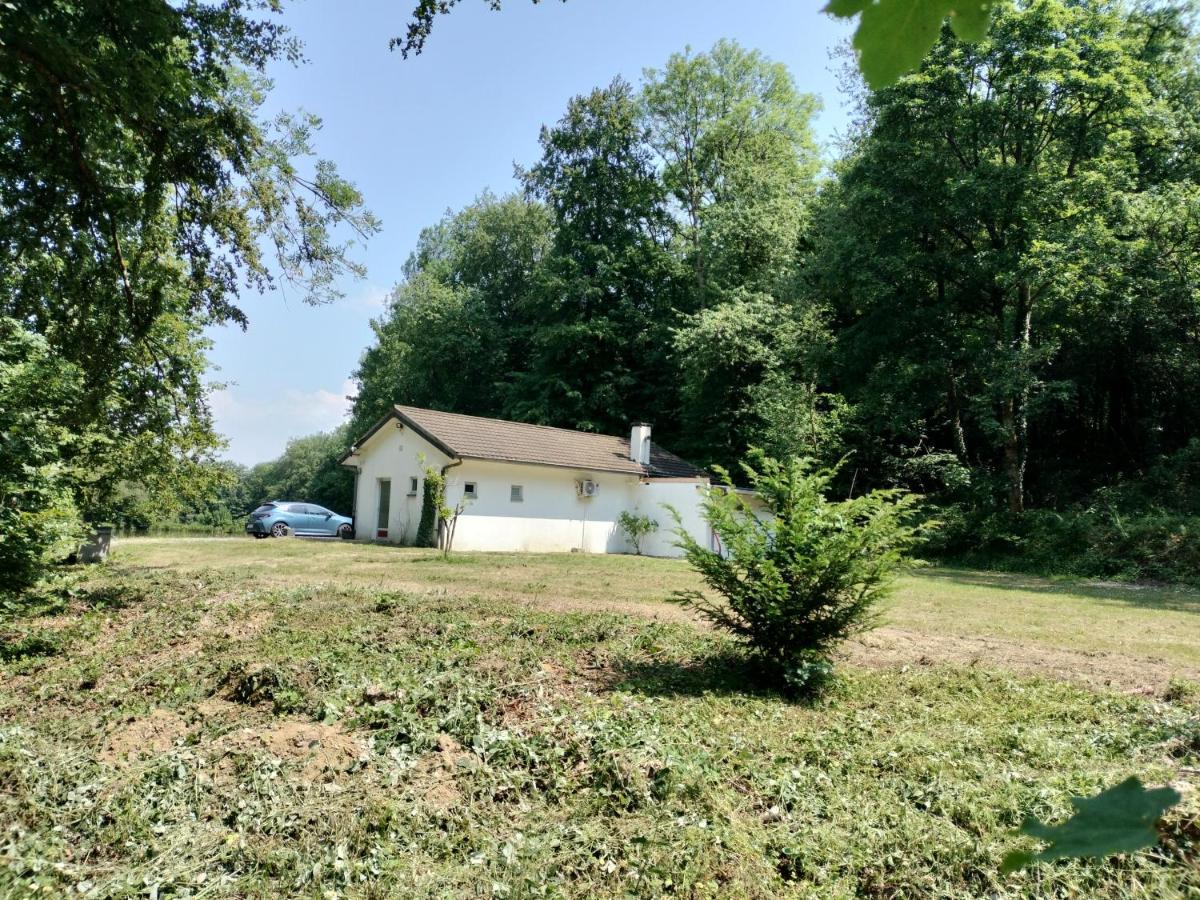 Deux étangs poissonneux au milieu des bois avec gîte moderne, la halte des deux lacs Rosée Extérieur photo